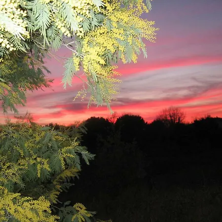 Studio Dolus d'Oléron