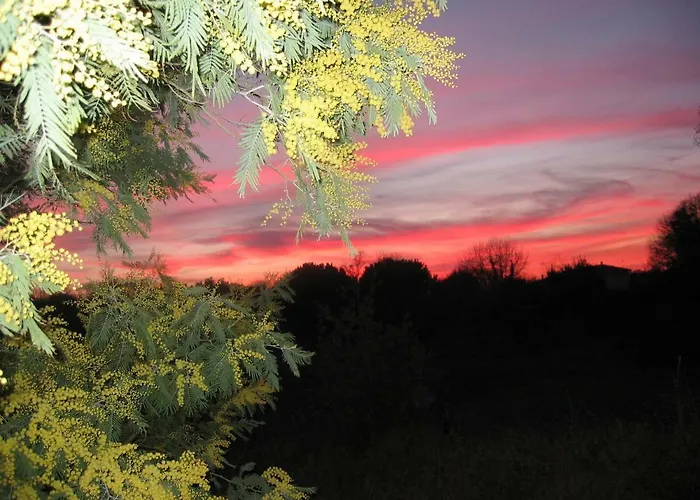 Studio Dolus d'Oléron